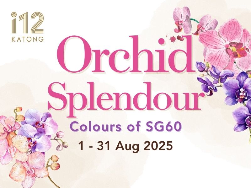 Photo of Orchid Splendour